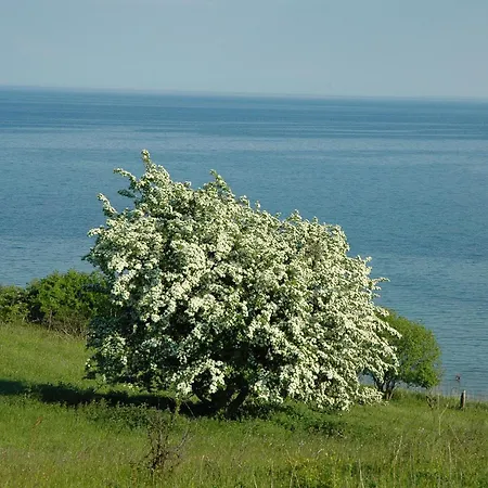 Suedstrand ,meerblick,schwimmbadnutzung Inklusive, Hauseigene Sauna